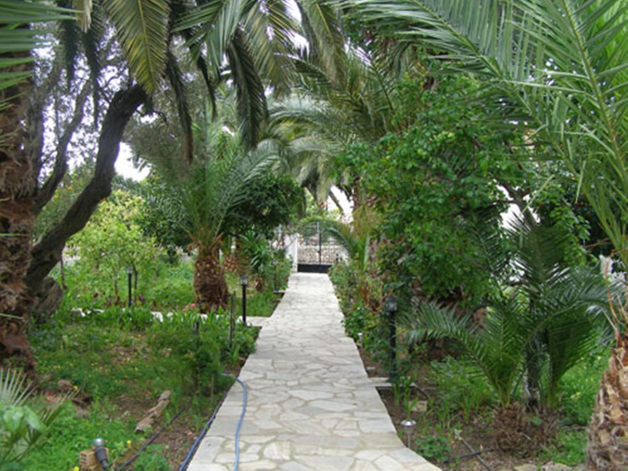 Menelaos Apartments Lefokastro Exterior foto